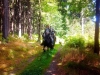 Beleef de natuur vanaf een paardenrug..