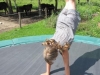 Trampoline